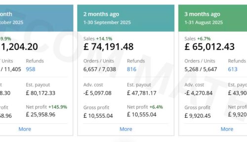 Amazon Monthly Revenue